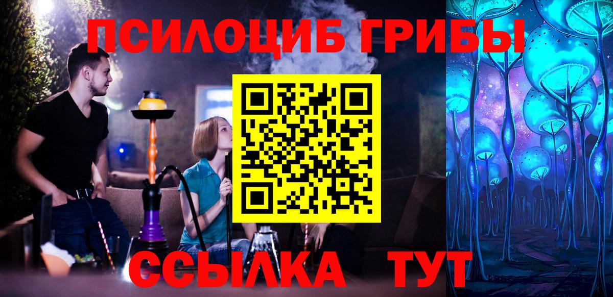 Псилоцибиновые грибы Psilocybine cubensis  Вход с VPN  Вятские Поляны 