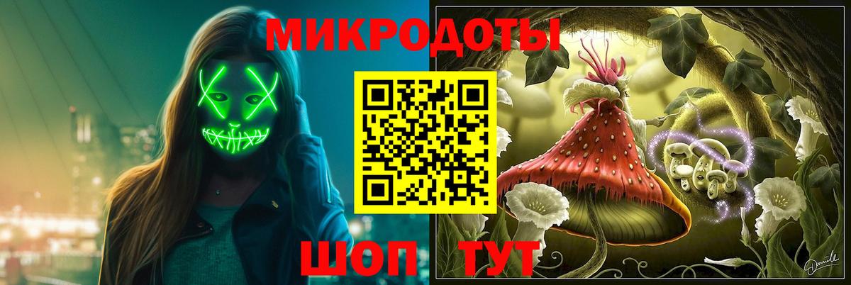 Псилоцибиновые грибы мицелий Вятские Поляны